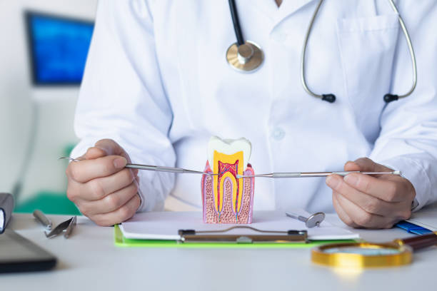 Best Emergency Treatment for Jaw Pain or Injury in Preston, ID